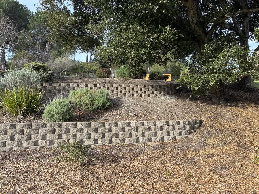 Terraced hillside with segmented retaining walls under oak trees at a Salinas pool project
